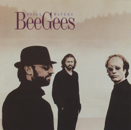 Cd-uri - Bee Gees - Still Waters, (CD)
