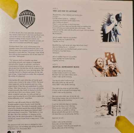 BEECHNUT BEND - TRY (AN ODE TO AUTISM) (DISC VINIL 7 INCH) [2]