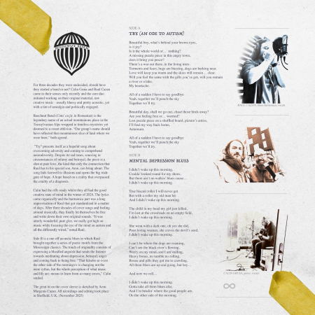 BEECHNUT BEND - TRY (AN ODE TO AUTISM) (DISC VINIL 7 INCH) [1]