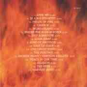 Big Country - Through A Big Country - Greatest Hits (CD) [1]