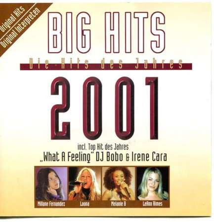 Cd-uri - Big Hits - Die Hits Des Jahres 2001  (CD)
