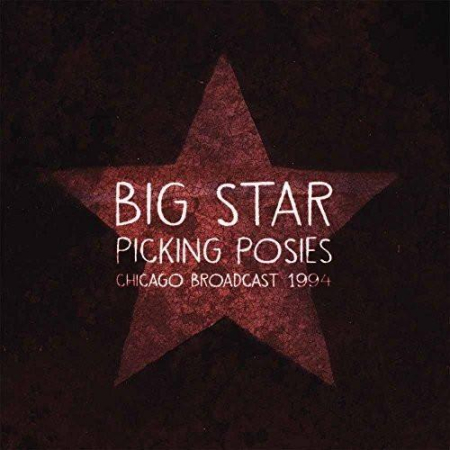 Discuri vinil - Big Star - Picking Posies (Disc Vinil)
