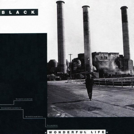 Pop - Black - Wonderful Life, (Disc Vinil)