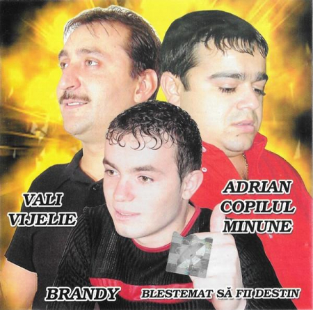 Cd-uri - Blestemat Să Fii Destin, (CD)