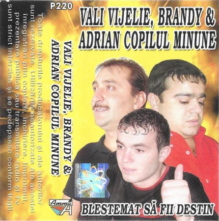 Casete audio - Blestemat Să Fii Destin (Caseta Audio)