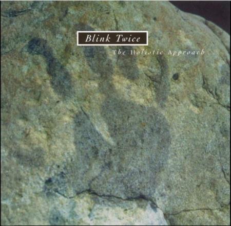 Muzica Electronica - Blink Twice - The Holistic Approach, (CD)