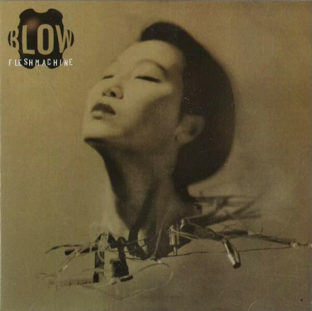 Cd-uri - Blow - Fleshmachine