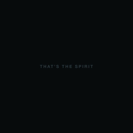 Pop - Bring Me The Horizon - That's The Spirit (Disc Vinil)