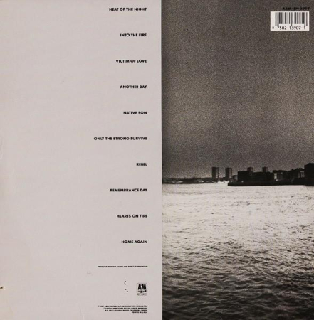Bryan Adams - Into The Fire [1]