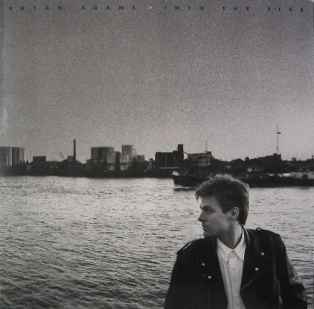 Discuri vinil - Bryan Adams - Into The Fire