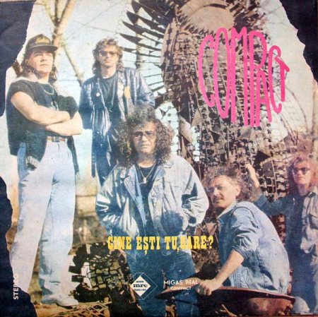 Rock/Folk - Compact - Cine Ești Tu, Oare?, (Disc Vinil)