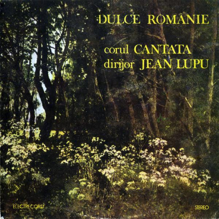 Promoții Discuri Vinil - Corul Cantata - Dulce Românie (Disc Vinil)