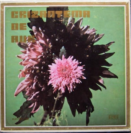 Discuri vinil - Crizantema De Aur