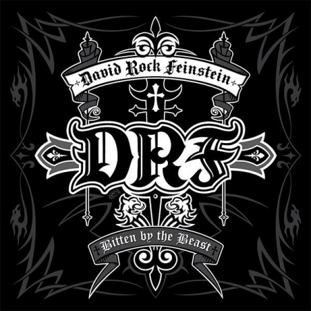 Rock/Folk - David Feinstein - Bitten By The Beast, (CD)