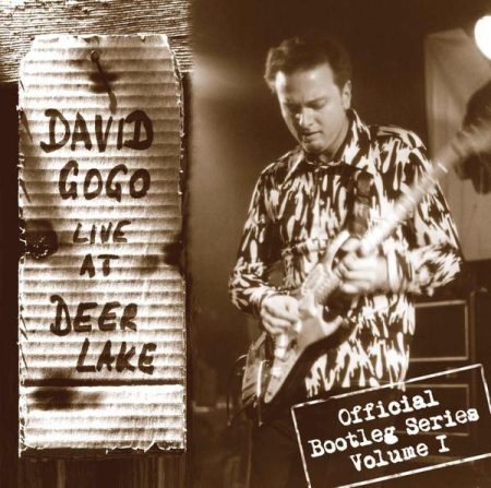 Jazz/Funk/Soul - David Gogo - Live At Deer Lake (CD)