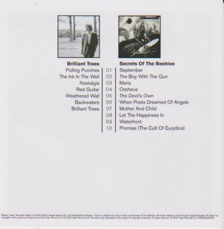 David Sylvian - Brilliant Trees / Secrets Of The Beehive, (CD) [1]
