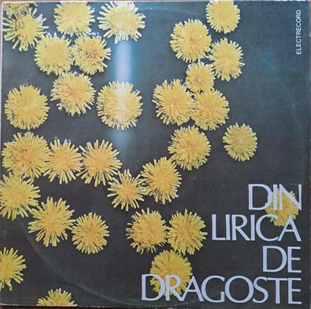 Discuri vinil - Din Lirica De Dragoste (Din Lirica Feminină Românească), (Disc Vinil)