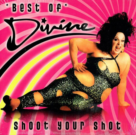 Discuri vinil - Divine - Shoot Your Shot * Best Of *, (Disc Vinil)