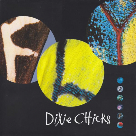 Discuri vinil noi - Dixie Chicks - Fly