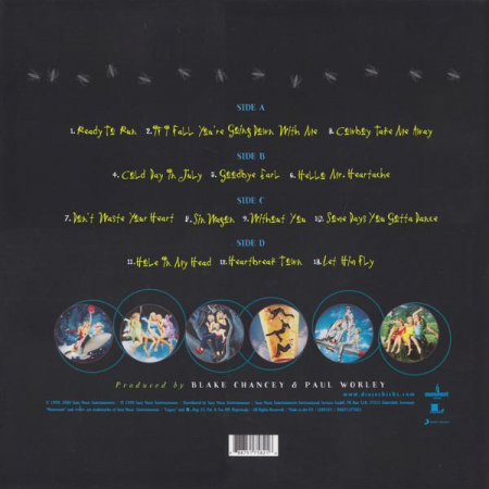 Dixie Chicks - Fly [1]