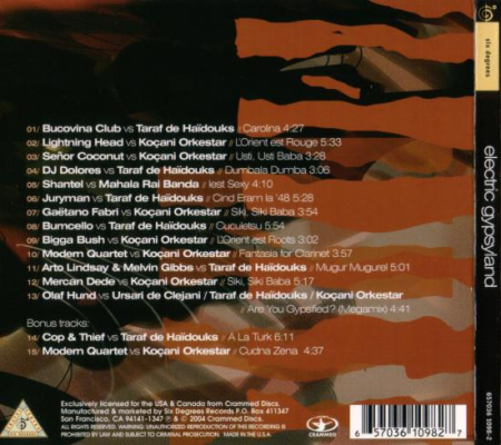 Electric Gypsyland [1]