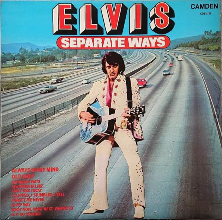 Discuri vinil - Elvis Presley - Separate Ways (Disc Vinil)