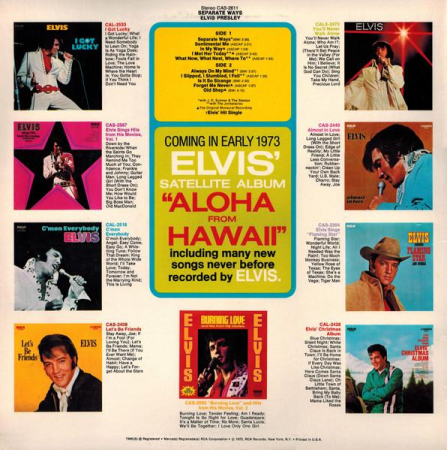 Elvis Presley - Separate Ways [1]