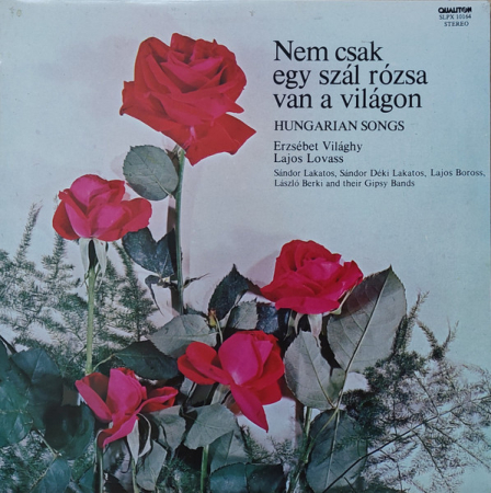 Discuri vinil - Erzsébet Világhy - Nem Csak Egy Szál Rózsa Van A Világon (Disc Vinil)