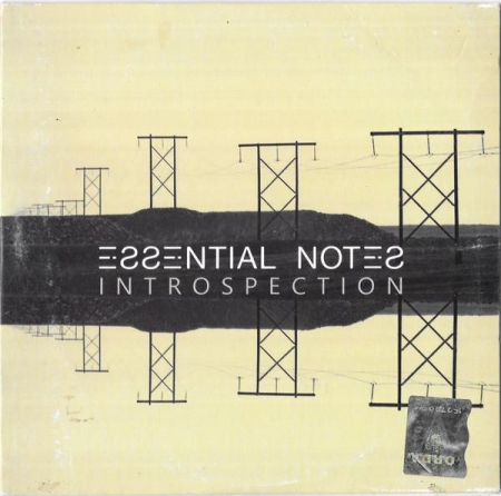 Cd-uri - Essential Notes - Introspection, (CD)