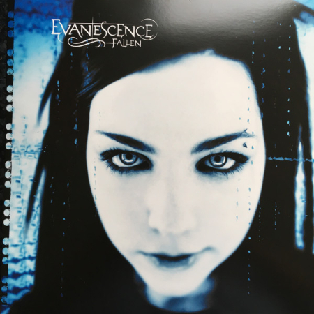 Rock/Metal - Evanescence – Fallen (Disc Vinil)
