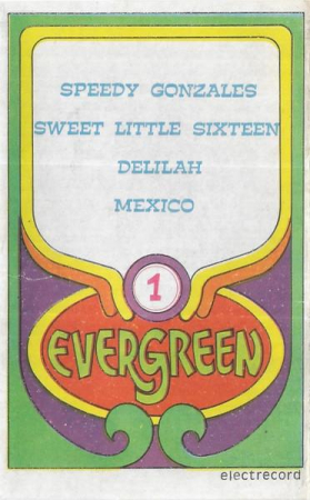 Casete audio - Evergreen  (Caseta Audio)