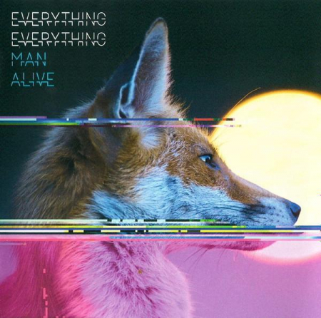 Cd-uri - Everything Everything - Man Alive, (CD)