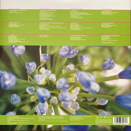 Fiona Apple - Extraordinary Machine [1]