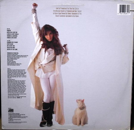 Fiona - Beyond The Pale, (Disc Vinil) [1]