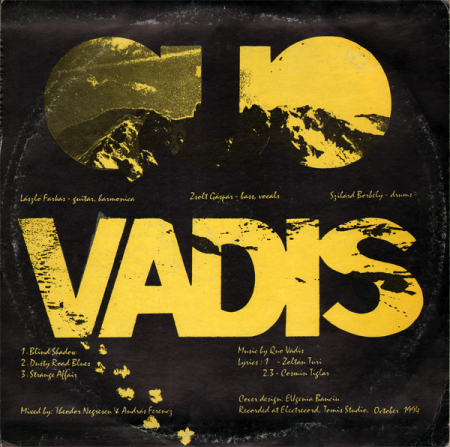 Floare Albastră / Quo Vadis (8) – Coming Out Of The Maze (VINIL) [1]