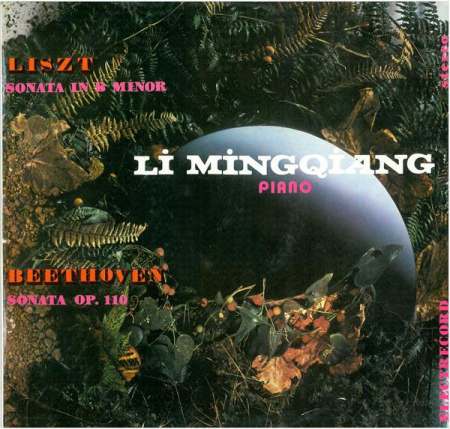 Muzică Clasică - Franz Liszt - Sonata In B Minor / Sonata Op. 110, (Disc Vinil)