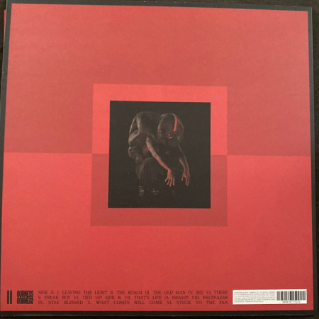 Genesis Owusu – Struggler, (Disc Vinil)  [1]
