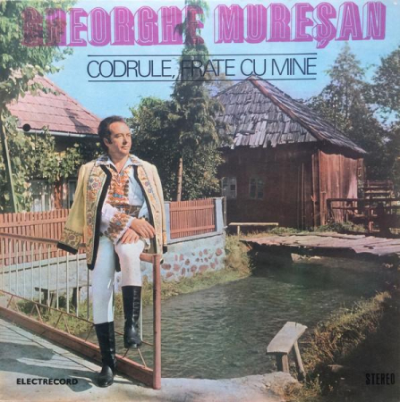 Muzică Populară/Lăutarească - Gheorghe Mureșan - Codrule, Frate Cu Mine, (Disc Vinil)