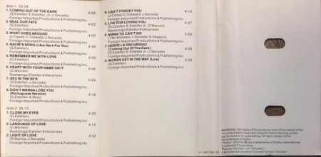 Gloria Estefan - Into The Light (Casetă Audio) [1]