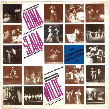 Discuri vinil - Henri Mălineanu - Bună Seara Domnule Wilde (7 Inch), (Disc Vinil)