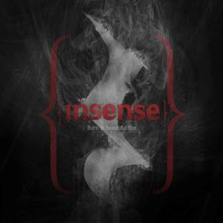 Discuri vinil - Insense (2) – Burn In Beautiful Fire (VINIL)