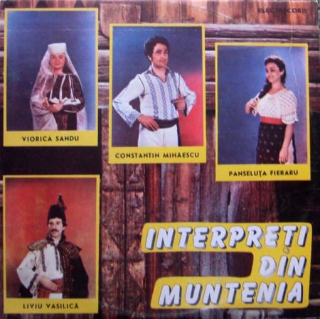 Discuri vinil - Interpreți Din Muntenia
