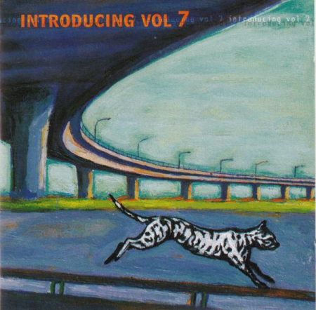 Cd-uri - Introducing Vol 7 , (CD)