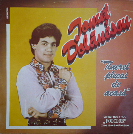 Discuri vinil - Ionuț Dolănescu - Tinerel Plecai De Acasă, (Disc Vinil)