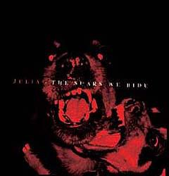 Cd-uri - Julia - The Scars We Hide