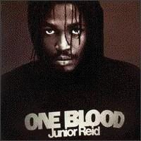 Discuri vinil - Junior Reid - One Blood