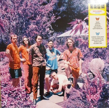 King Gizzard & The Lizard Wizard- Butterfly 3000 (Disc Vinil) [1]