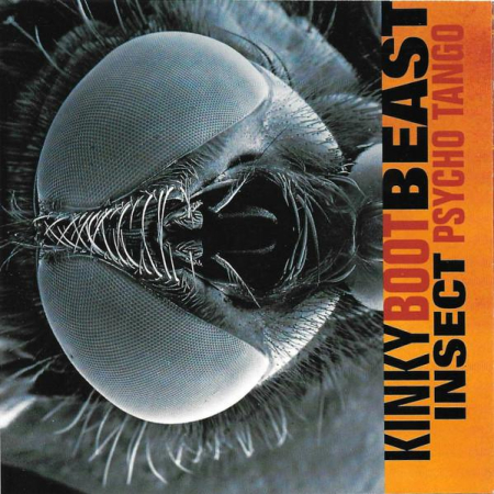 Cd-uri - Kinky Boot Beast - Insect Psycho Tango