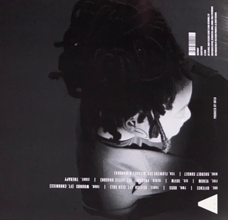 Little Simz – Grey Area, (Disc Vinil)  [1]