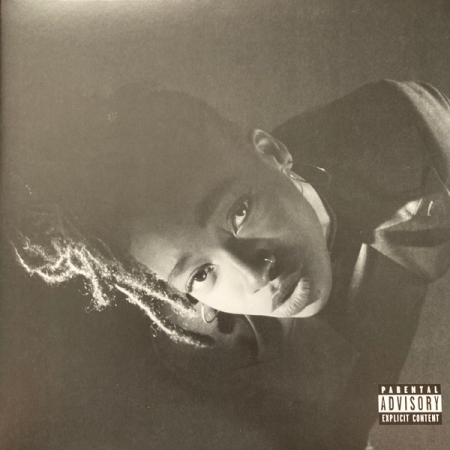 Discuri vinil noi - Little Simz – Grey Area, (Disc Vinil) 